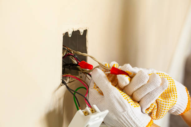 Professional Electrical Services in Sale Creek, TN